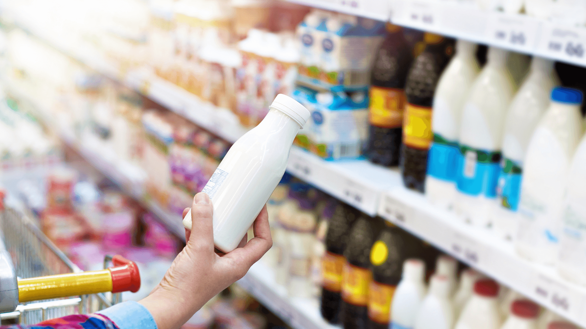 Product Liability Lawyer support